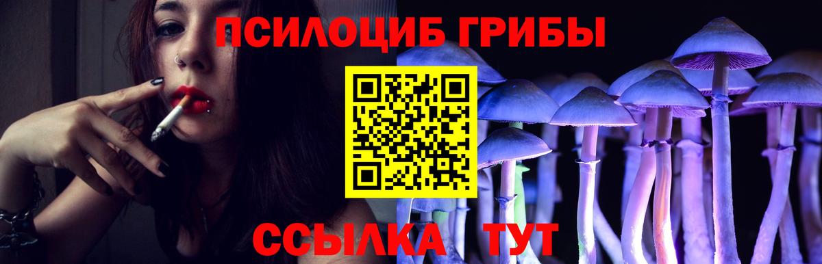 Галлюциногенные грибы Magic Shrooms  Вход с VPN  Артёмовский 
